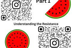 Understanding the Resistance - 1